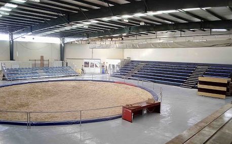 Decan Sports Equipment S.L. cancha